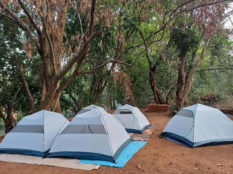 Goa: Overnight Camping with BBQ, Abseiling, and Breakfast - Setting the Scene: Starting Point and Logistics