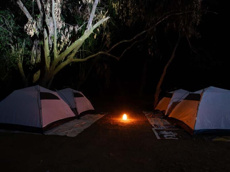 Goa: Overnight Camping with BBQ, Abseiling, and Breakfast - The Value of This Tour