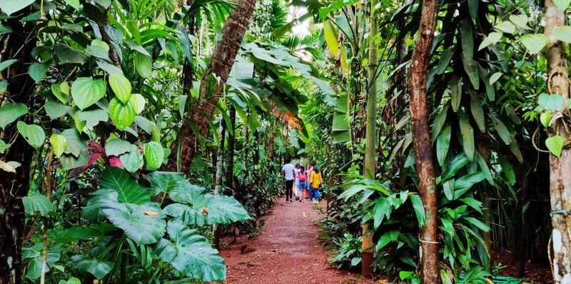 Goa: Private Full-Day Sightseeing Highlights Tour - Mangueshi Temple broadens the story