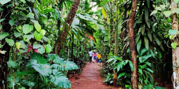 Goa: Private Full-Day Sightseeing Highlights Tour - The Sum Up