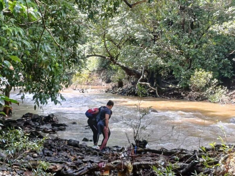 Goa: Relax by the Riverside Forest Day Out with Goan Cuisine - The Sum Up