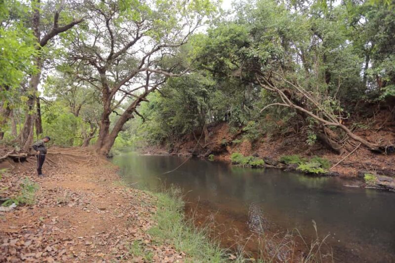 Goa: Relax by the Riverside Forest Day Out with Goan Cuisine - Final Thoughts