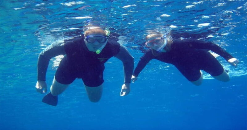 Goa: Scuba Diving Combo Package in Grand Island - What Travelers Should Know