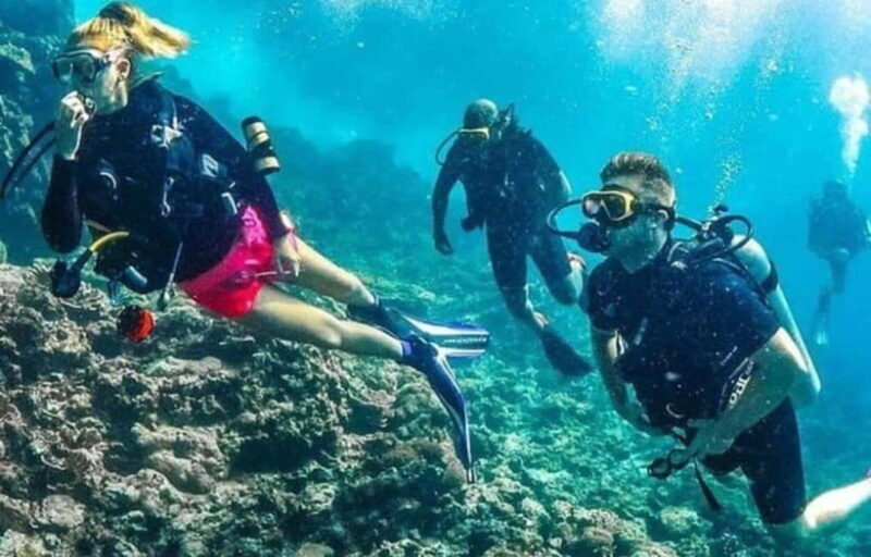 Goa: Scuba Diving Combo Package in Grand Island - Who Will Love This Tour?