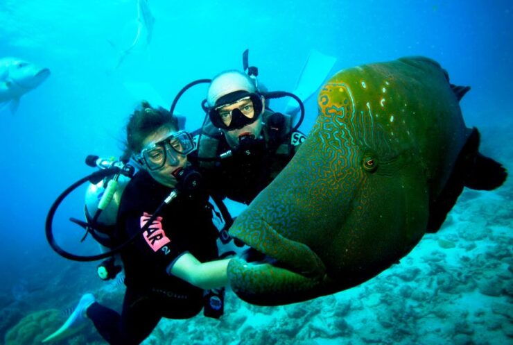 Goa Scuba Diving With Water Sports at Grand Island - Duration and Activity Rating