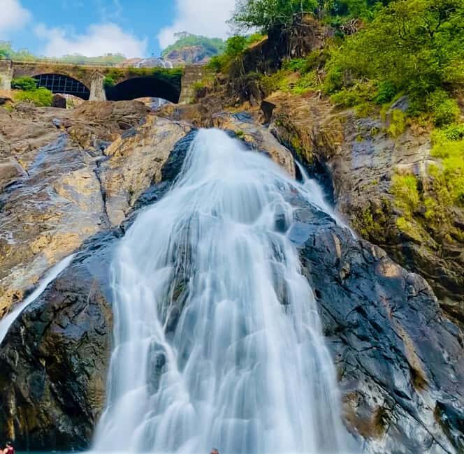 Goa: SIC Dudhsagar Waterfall and Spice Plantation Day Tour - An In-Depth Look at the Experience