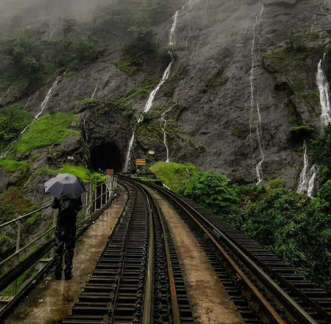 Goa: SIC Dudhsagar Waterfall and Spice Plantation Day Tour - Exploring the Tour in Detail
