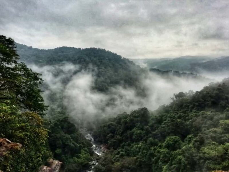 Goa: SIC Dudhsagar Waterfall and Spice Plantation Day Tour - Authentic Experiences and Honest Feedback