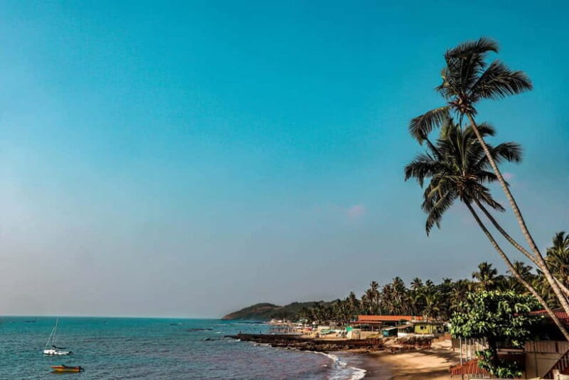 Goa: SIC North Goa Sightseeing Tour - What Travelers Say: Authentic Insights from Reviews