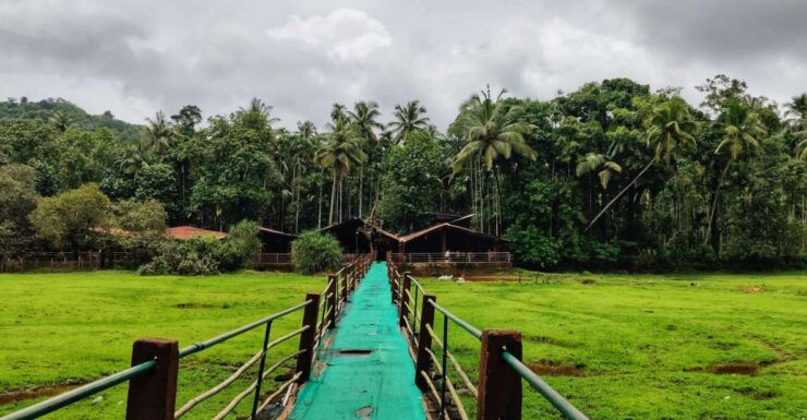 Goa: Spice Plantation Tour and Traditional Local Lunch - Highlights of the Walking Tour