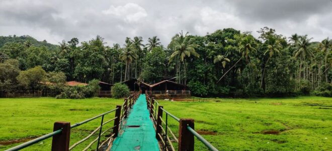 Goa: Spice Plantation Tour and Traditional Local Lunch - Experiencing the Aromas and Tastes
