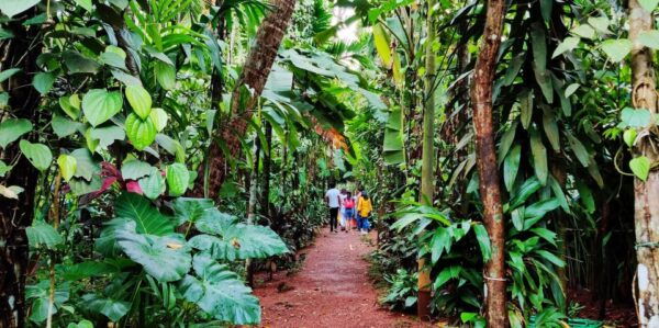Goa: Spice Plantation Tour and Traditional Local Lunch - Common Questions