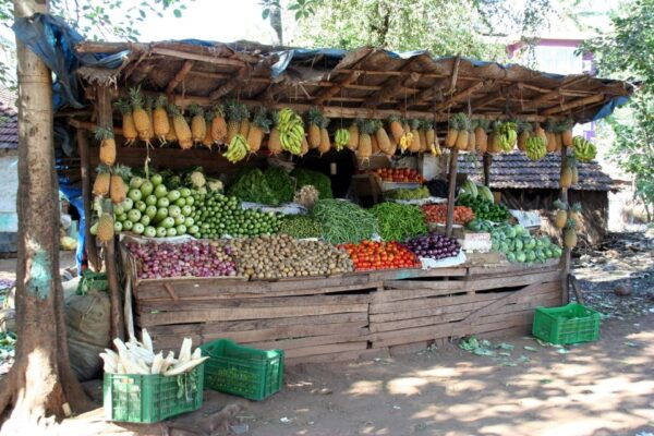Goa Street Food Tour - The Sum Up