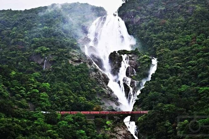 Goa to Anshi National Park, Extension to Wildlife Safari Tour - Additional Information