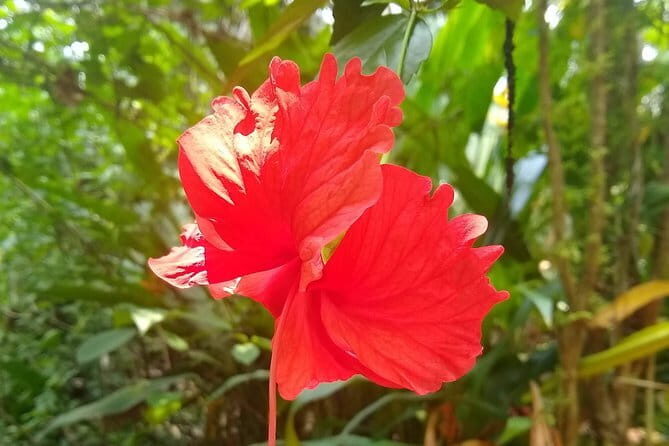 Goan Village Life Tour - Exploring the Itinerary in Detail