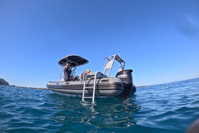 Goat Island Experience Guided Boat Dive - What’s Included and How the Tour Works