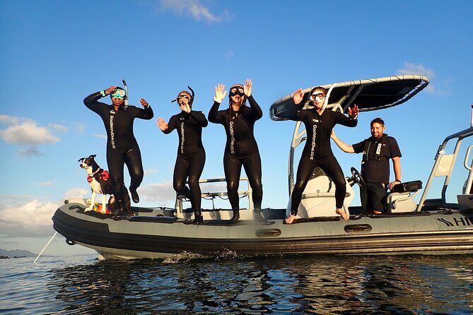 Goat Island Experience Guided Boat Snorkel Tour - Discovering Auckland’s Marine Jewel: Goat Island Marine Reserve