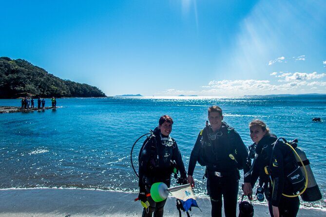 Goat Island Experience Guided Shore Dive - Discovering Goat Island’s Marine Environment