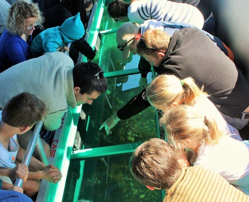 Goat Island: Glass Bottom Boat Tour - Good To Know