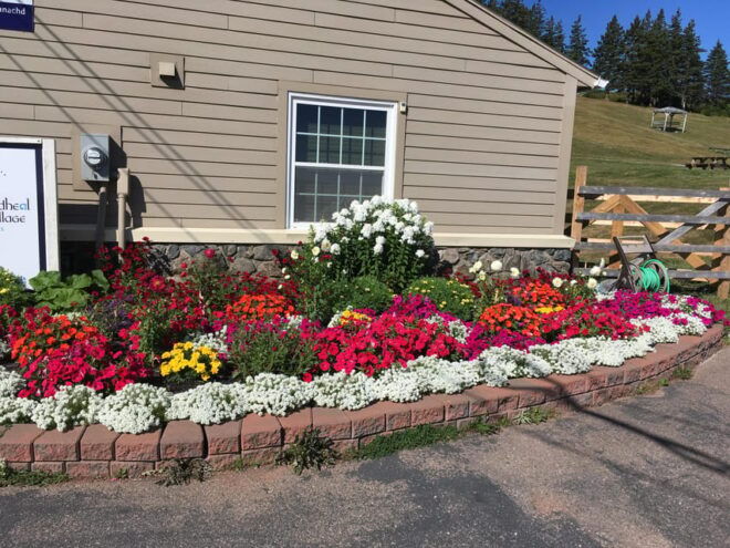 Goat Island & Highland Village : Cultural Experience - Accessibility and Restrictions