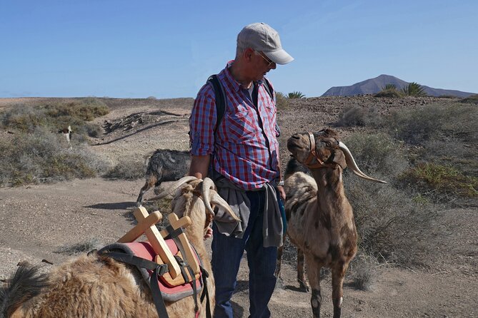 Goat Trekking Fuerteventura - Common Questions