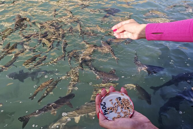 Göbeklitepe And Sanlıurfa Tour From Istanbul All Included - Entrance Fees and Excursions