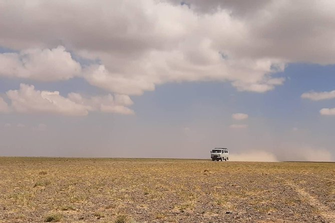 Gobi and Grassland Mongolia 7-8 Days - Tour Highlights and Inclusions