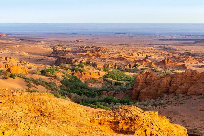 Gobi Desert Tour - Tour Accessibility and Restrictions