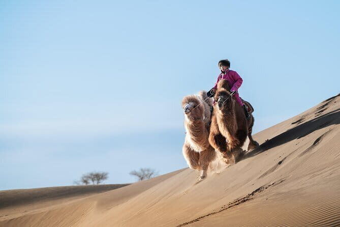 Gobi tour Mongolia 7 Days - What the Experience Includes and What to Expect