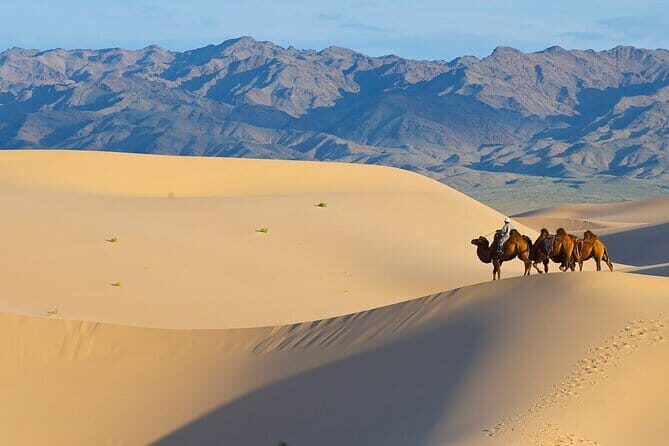 Gobi tour Mongolia 7 Days - Authenticity and Reviewer Insights