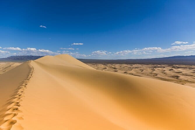 Gobi tour Mongolia 7 Days - Who Should Consider This Tour?