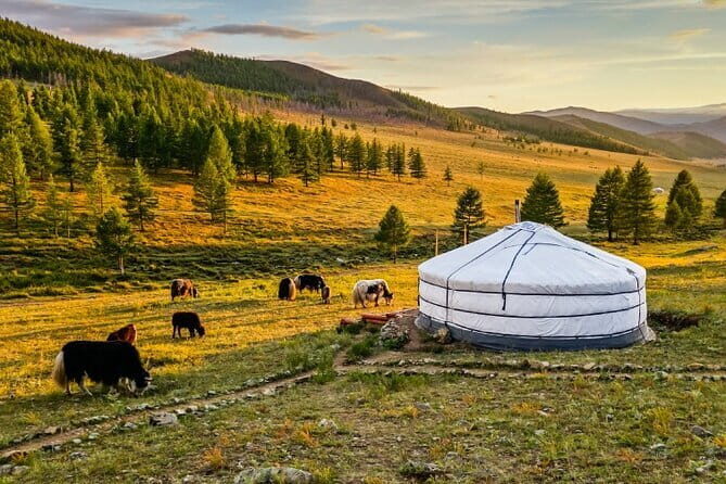 Gobi tour Mongolia 7 Days - FAQs