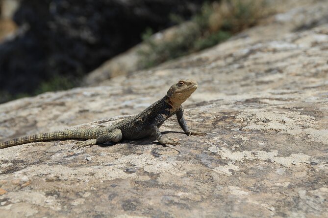 Gobustan & Absheron Tour - Cancellation Policy