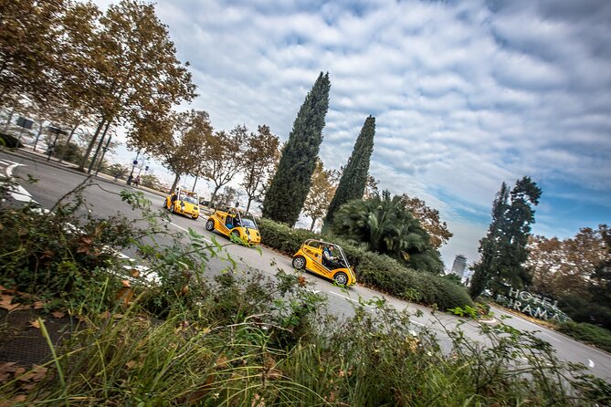 GoCar Discover Gaudi - Reviews and Ratings