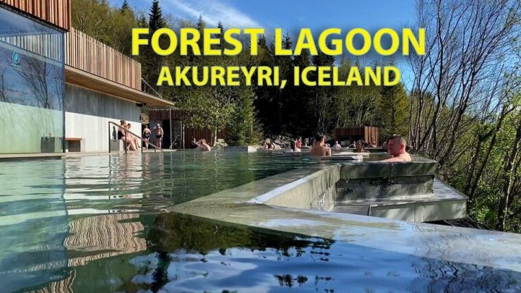 Godafoss Express Classy Round Trip Multiple Drop Off Choice - Why This Tour Will Appeal to You
