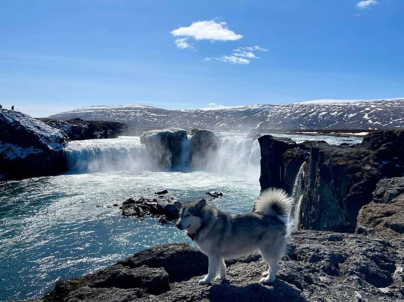 Godafoss, Laufás Museum & Akureyri Highlights Tour - An In-Depth Look at the Tour