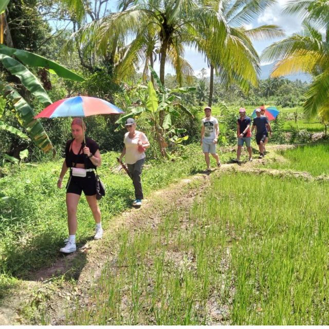 Godakawela Village Tour With Traditional 4 Causes Lunch - Pickup and Drop-off Information