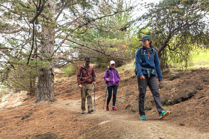 Godley Head Scenic Drive & Walking Tour (Private Shore Excursion) - Good To Know