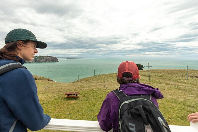 Godley Head Scenic Drive & Walking Tour (Private Shore Excursion) - Practical Tips for Your Trip