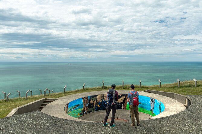 Godley Head Scenic Drive & Walking Tour (Private Shore Excursion) - Who Will Love This Tour?