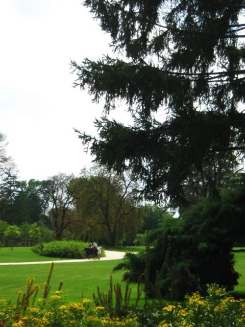 Godollo Royal Palace Full-Day Tour from Budapest - Who Is This Tour Best For?