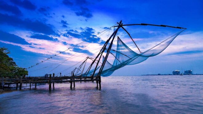 Gods Own Place-Kerala Tour - Periyar Wildlife Safari