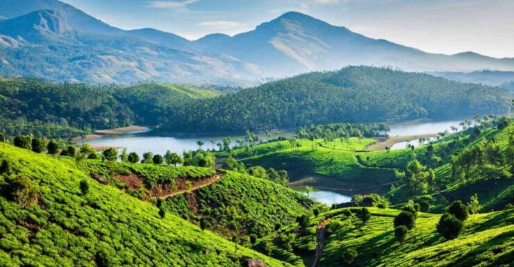 Gods Own Place-Kerala Tour - Experience
