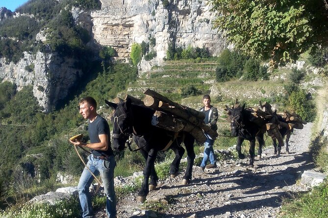 Gods Path Guide & Transfers Included!! - Additional Information