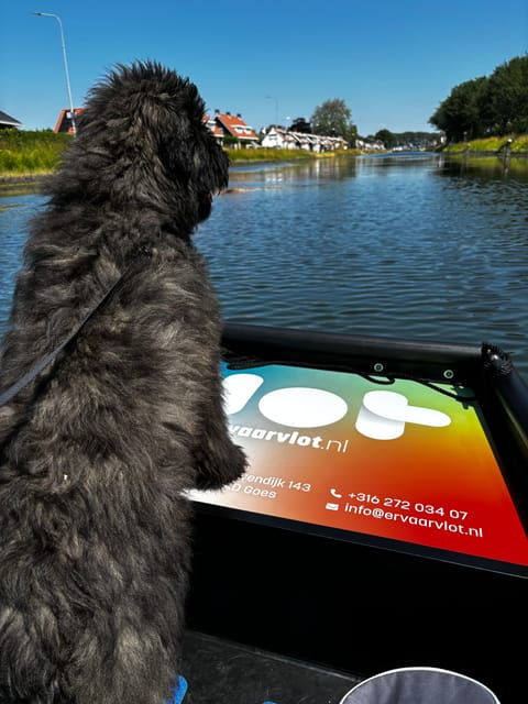 Goes: Self-Guided Electric Boat Rental - Good To Know