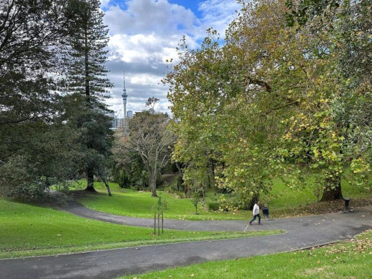 GoGuided Auckland Essentials Private Tour - Tour Details