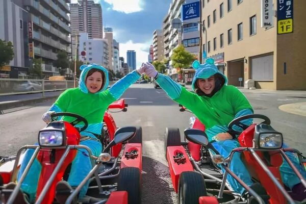 Gokart Tokyo: Oldtown Tour |8 Tour Destinations in 100 Mins - Driving License Information