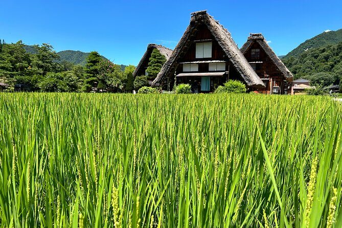 Gokayama and Shirakawago (UNESCO Heritage) Small Group(Max 9) - The Value in This Tour