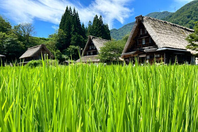 Gokayama and Shirakawago (UNESCO Heritage) Small Group(Max 9) - Who Should Consider This Tour?