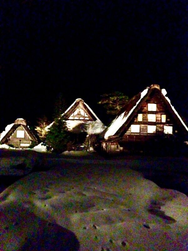 Gokayama Snow Light-Up, Bokka no Sato & Dinner Day Tour from Nagoya - What the price covers, and where extra costs may appear